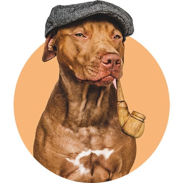 dog_in_a_hat.jpg